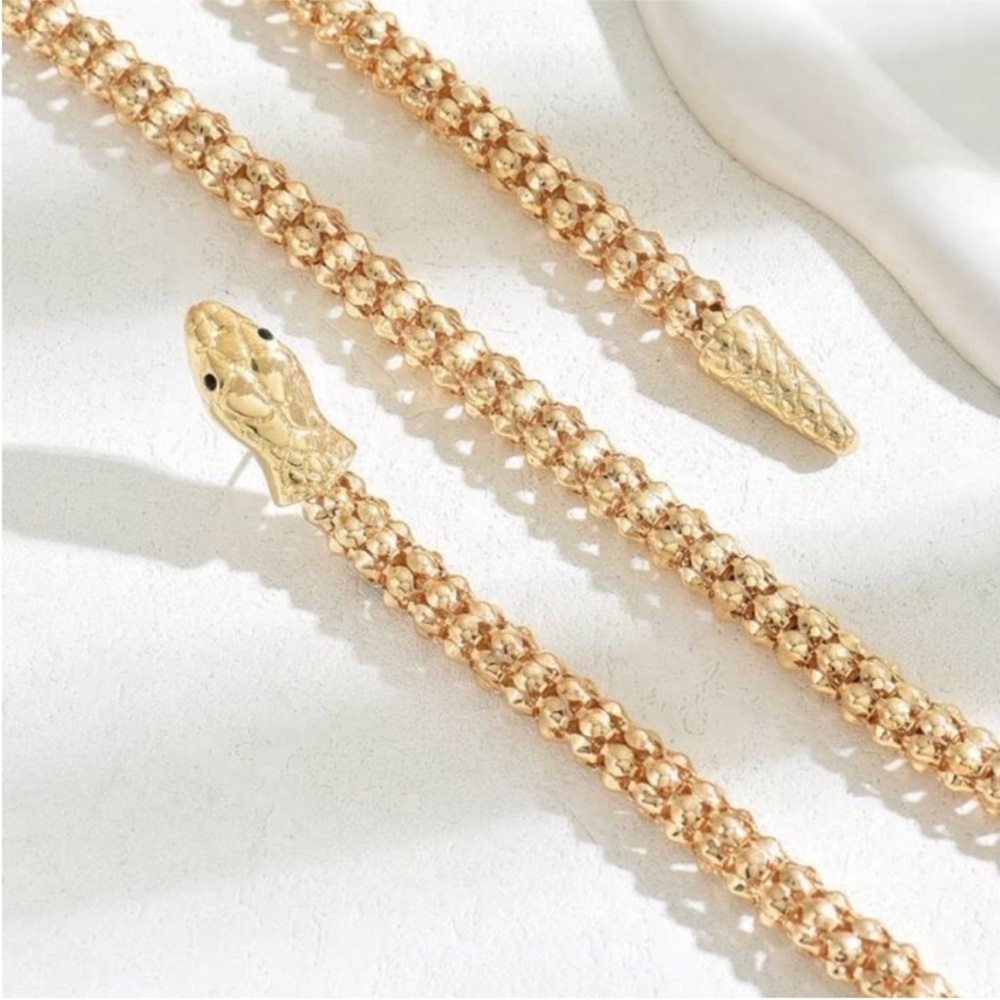Serpanti Retro Punk Snake Chain
Necklace & Earring Set - Picture 4 of 5